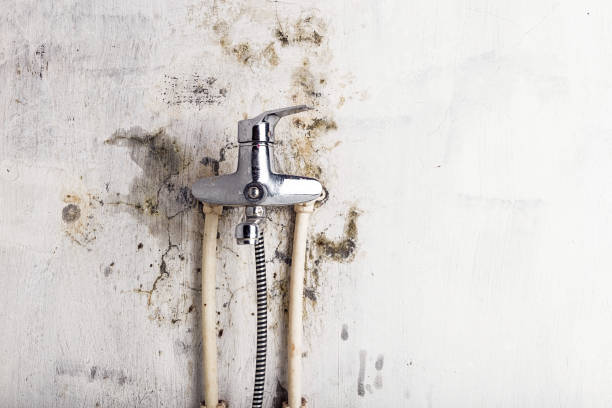 Best Mold Testing  in Lake Shore, MD
